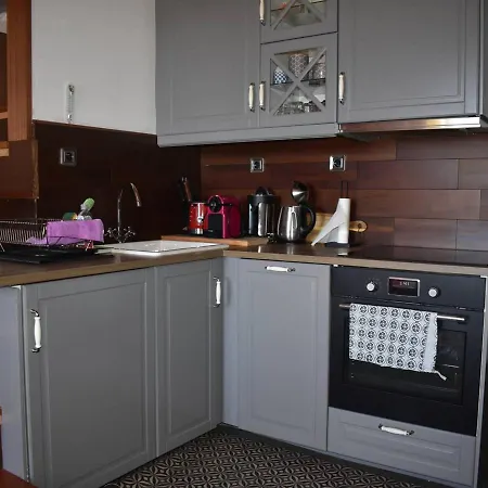Appartement Art Déco De Standing à Font-romeu - Fr-1-580-98 Font-Romeu-Odeillo-Via